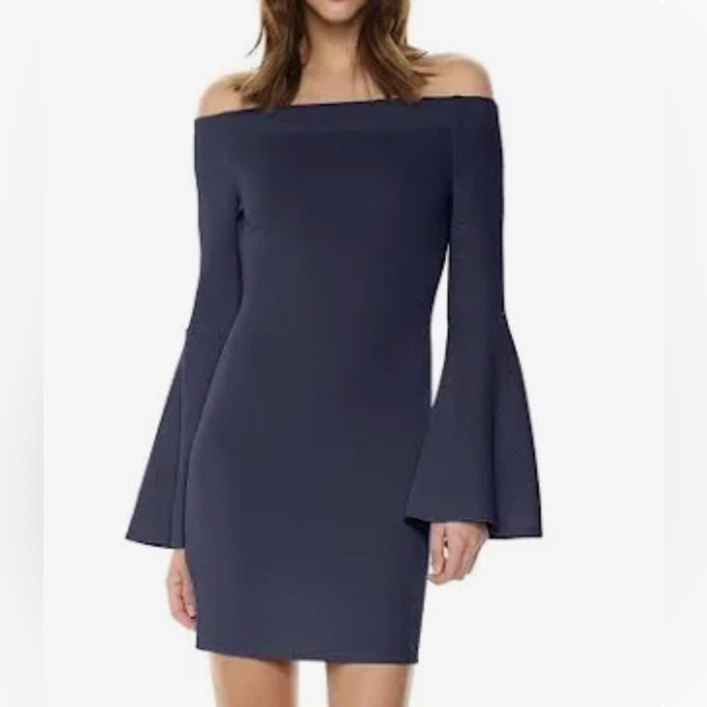 NWT BCBG Mini Dress